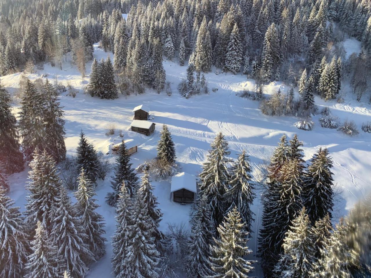 Ferienwohnung Laax Mit Traumblick, Grossem Balkon Und Terrasse Екстер'єр фото